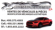 Mustang Revolution
