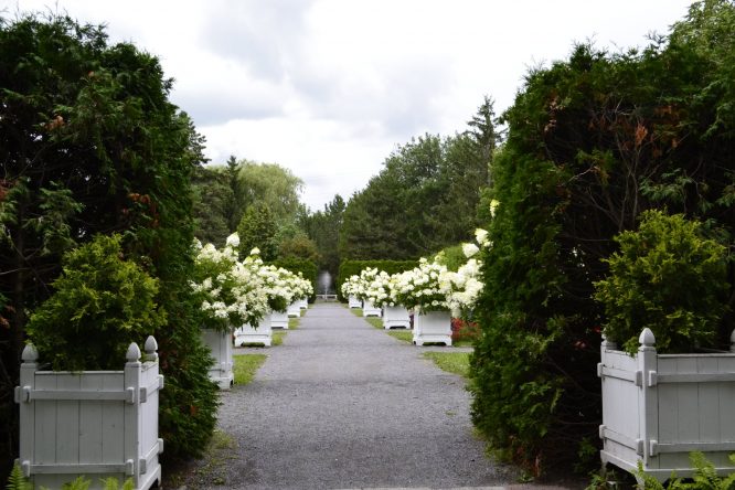 Jardins Daniel A. Séguin et Vignoble Château Fontaine – 10 août 2019