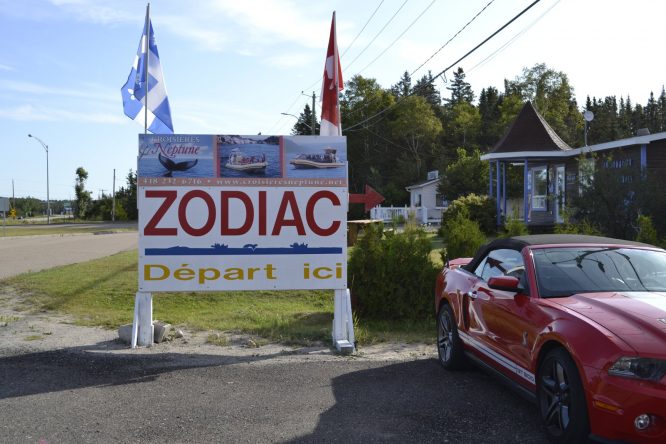 Croisière aux baleines – 31 août et 1er septembre