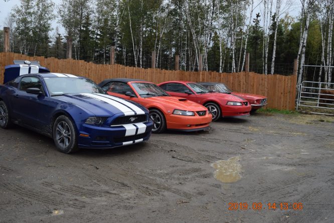 Zoo Miller – 14 septembre 2019